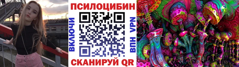 где продают   Николаевск  Псилоцибиновые грибы Cubensis 